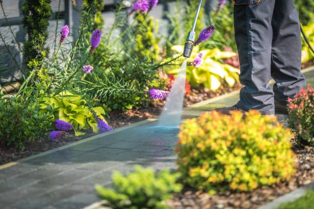 Best Parking Lot and Garage Cleaning  in Honesdale, PA